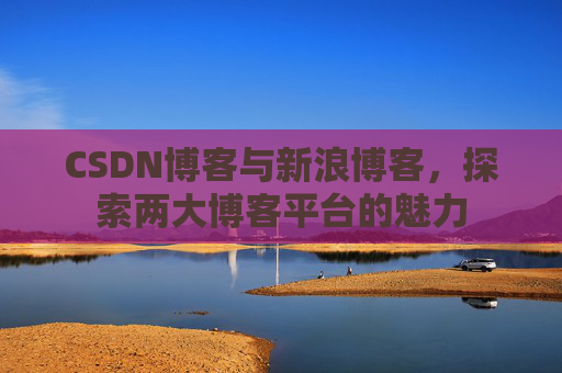 CSDN博客与新浪博客,探索两大博客平台的魅力